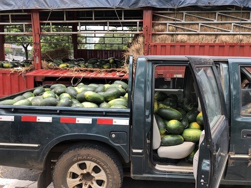 行善最樂，端午之際赫茲曼電力扶貧獻愛心