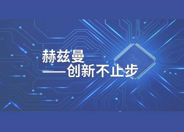 XGN99真空高壓開關柜「赫茲曼電力」
